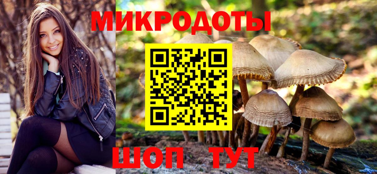 Городец  Галлюциногенные грибы ЛСД  Вход с VPN 