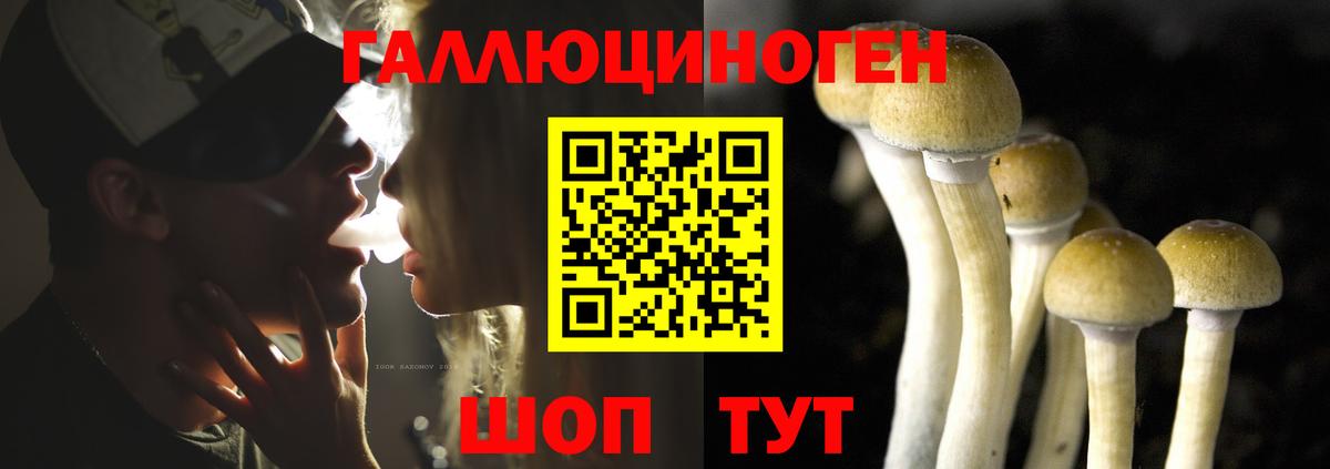 Галлюциногенные грибы Magic Shrooms Городец